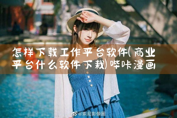 怎样下载工作平台软件|哔咔漫画