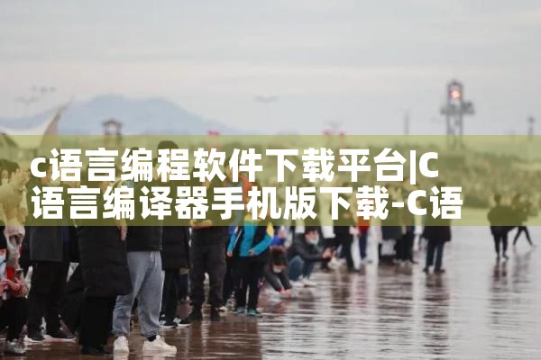 c语言编程软件下载平台|小蓝视频