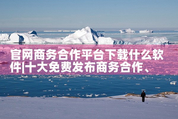 官网商务合作平台下载什么软件|杏吧