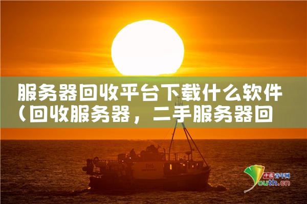 服务器回收平台下载什么软件|杏吧