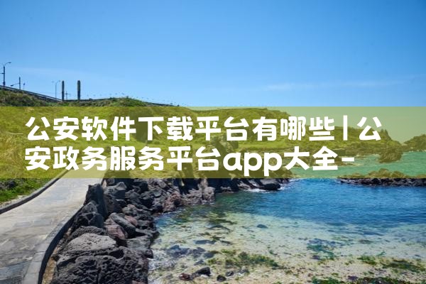 公安软件下载平台有哪些|小蓝视频