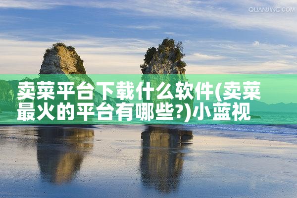卖菜平台下载什么软件|小蓝视频