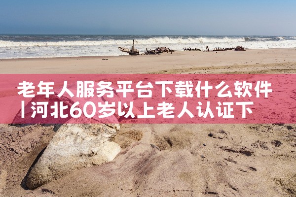 老年人服务平台下载什么软件|杏吧